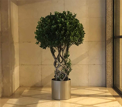 綠植租擺案例