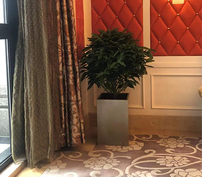 綠植租擺案例