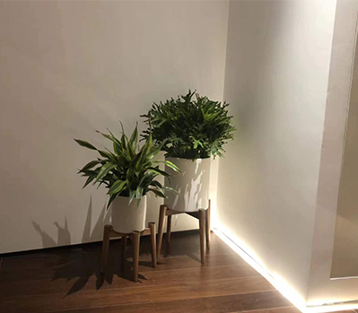 綠植租擺案例