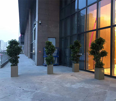綠植租擺案例
