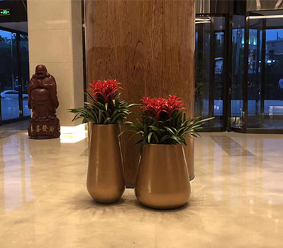 綠植租擺案例
