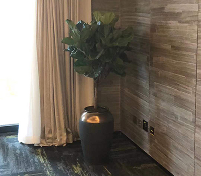 綠植租擺案例