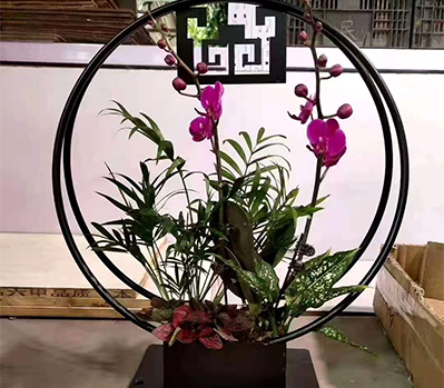 綠植租擺案例