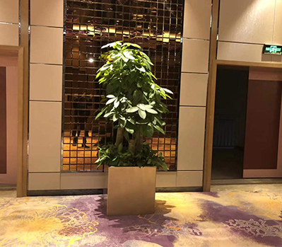 綠植租擺案例