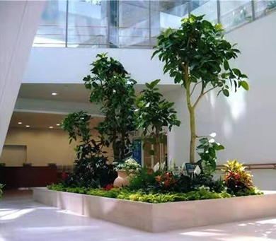 綠植租擺